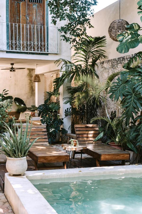 Casa Mezcla - Bed & Breakfast Мерида Экстерьер фото