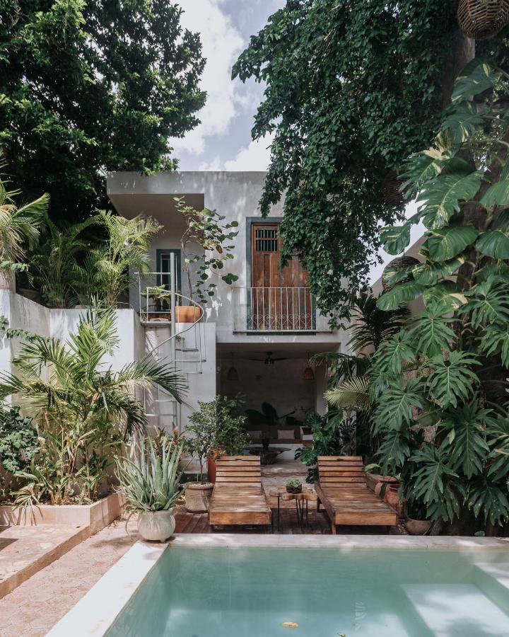 Casa Mezcla - Bed & Breakfast Мерида Экстерьер фото
